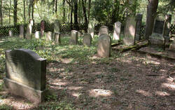 Das Foto zeigt ein kleines Waldstück in dem mehrere, alte jüdische Grabsteine stehen.