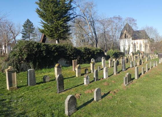 Jüdischer Friedhof Schornsheim, 2023