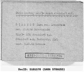 Karteikarte Theresienstadt