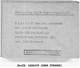 Karteikarte Theresienstadt