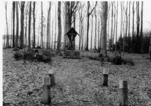 „Hohes Kreuz“ im Stelzenbachwald