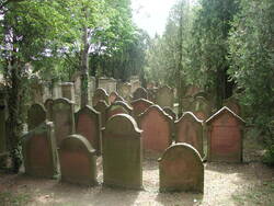 Das Bild zeigt den jüdischen Friedhof in Dalsheim