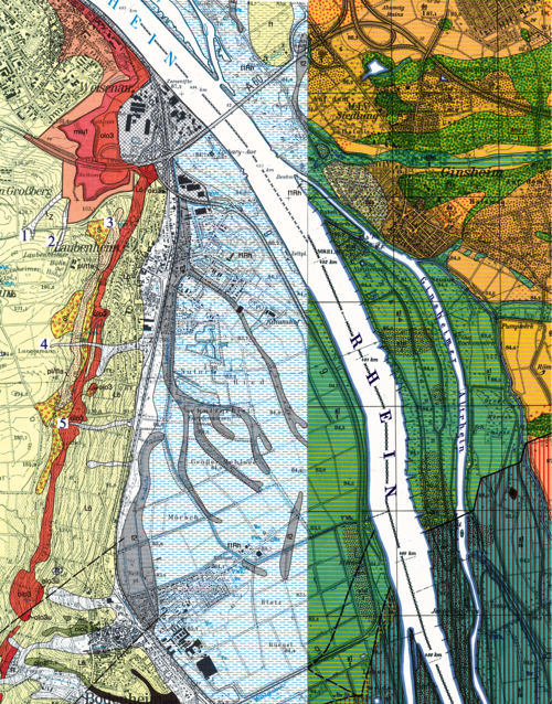 Abb. 1: Laubenheimer Gebiet im Ausschnitt der geologischen Karte. Zusammenschnitt der Blätter Mainz und Groß-Gerau. Weiße Ziffern, schwarz unterlegt.