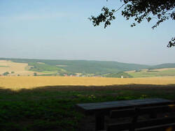 Das Bild zeigt ein Panorama von Bechenheim