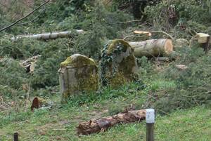 Zwei Grabsteine vom etwa dem Anfang des 19. Jahrhunderts auf dem alten jüdischen Friedhof in Niederkirchen. In Benutzung ca. 1650 bis 1860.