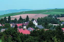 Frei-Laubersheim, Panorama