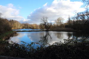 Naturschutzgebiet des ehemaligen Bergbaugebiets in Waldalgesheim. Ab dem 19. Jahrhundert musste der historische Ortskern von Waldalgesheim aufgrund von Bergbauschäden zunehmend aufgegeben werden. 2003 kaufte die Gemeinde das Gebiet unterhalb der Grube Amalienhöhe/Dr. Geier und richtete dort ein Naturschutzgebiet ein.