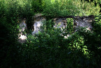 Zu sehen ist die Klosterruine in Bad Tönisstein