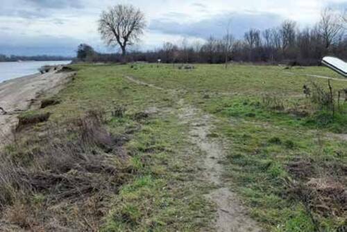 Abb. 1: Im Rahmen des Bundesprogrammes Blaues Band renaturiertes Rheinufer am ehemaligen Strandbad und Campingsplatz, 2023.