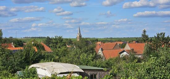 Blick auf Wiesoppenheim von den Weinbergen im Süden des Ortes.