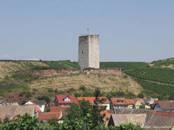 Das Bild zeigt Burg Schwabsburg
