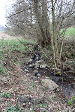 Der Elsbach ist ein 1,7km langer Zufluss des Steinbachs in Niederkirchen.