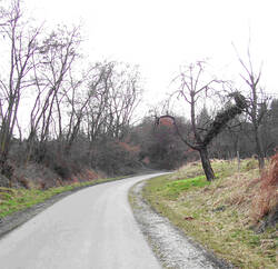 Über diesen Feldweg gelangt man auf eine Wiese, auf der vielleicht die Hinrichtungen statt gefunden haben könnten.