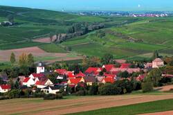 Wachenheim Panorama