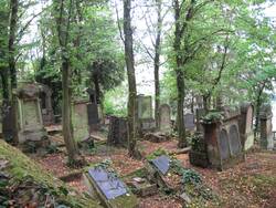 Grabsteine auf dem jüdischen Friedhof in Bingen.