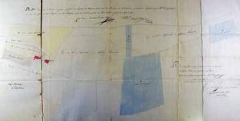 Abb. 3: Flächen, die dem Gutshof der Mainzer Hospizien hinzuzufügen sind, 1808
