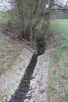 Der Moorbach ist ein linker Zufluss des Odenbachs, hier in der Nähe der Mündung nördlich von Niederkirchen.