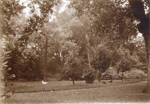 Abb. 3: Blick vom Kaffeeplätzchen aus in den Park, 1927