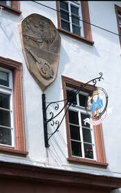 Das Bild zeigt das Burggrafiat in Alzey