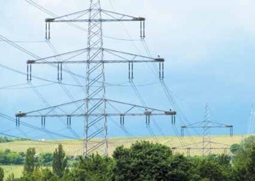 Abb. 1: Seit 2002 haben die Laubenheimer Störche auf vier Strommasten und einem gepflegten Nistplatz am Kilianshof insgesamt 32 mögliche Horstplätze erobert. Zwischen 2002 und 2022 sind 412 Jungstörche flügge geworden.