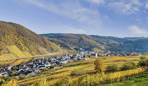 Blick auf Ellenz und die Mosel von den Weinbergen. Auf der anderen Moselseite Beilstein.