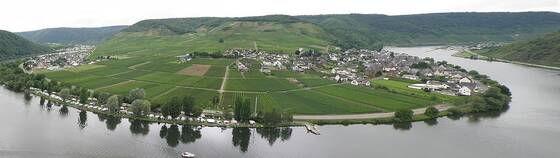 Blick auf Ellenz und Poltersdorf von der anderen Moselseite