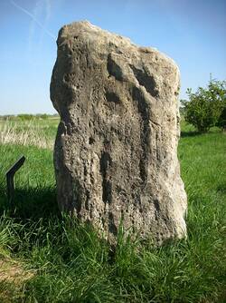 Menhir (Grenzstein) im Laubenheimer-Bodenheimer Ried