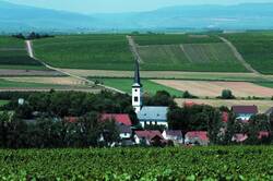 Uffhofen Panorama