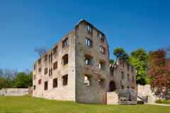 Schlossruine Landskron (Foto: Ulrich Pfeuffer, GDKE)